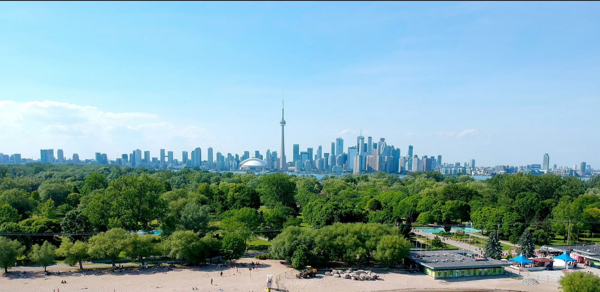 Dogs and owners in The Beaches neighbourhood